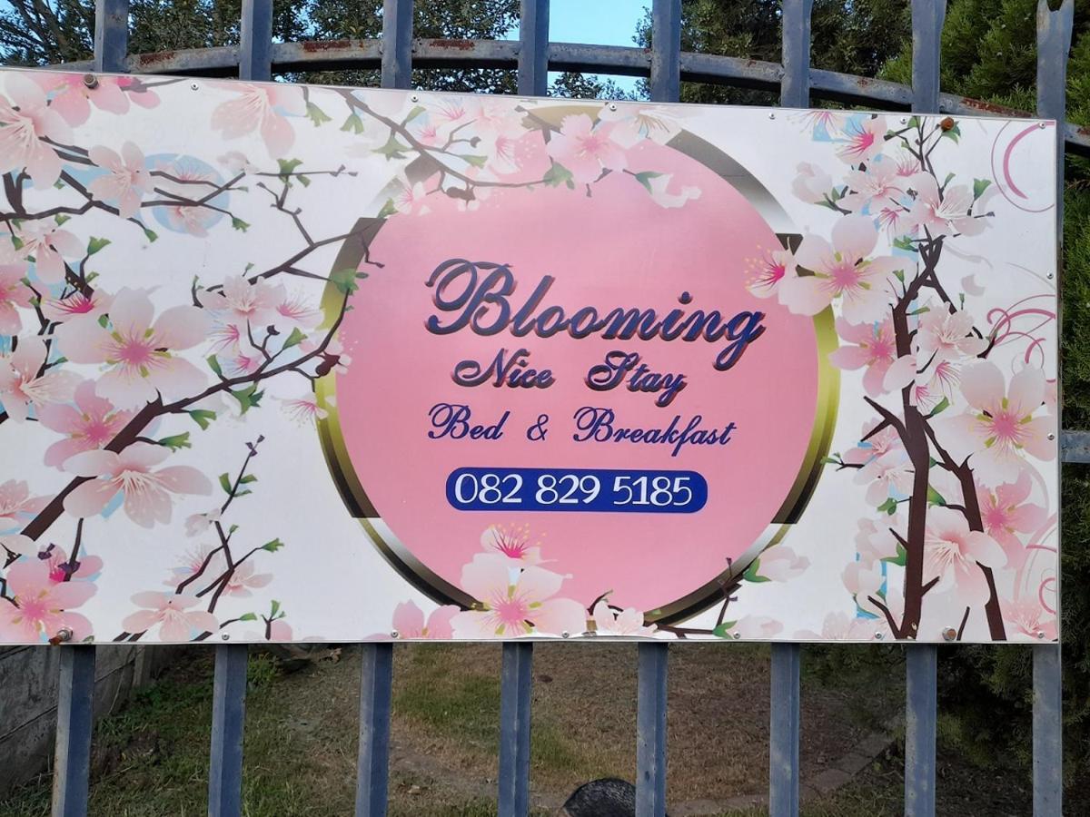 Blooming Nice Stay Harrismith Exterior foto